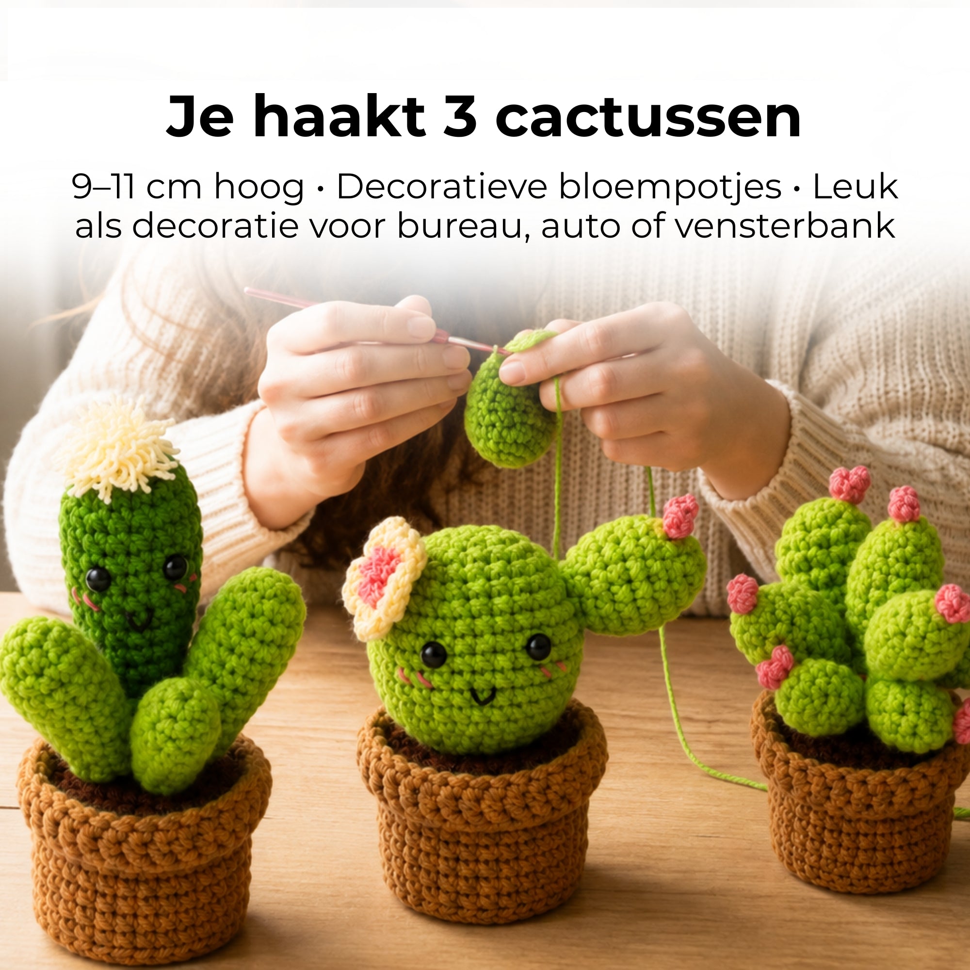 Haakpakket Cactus