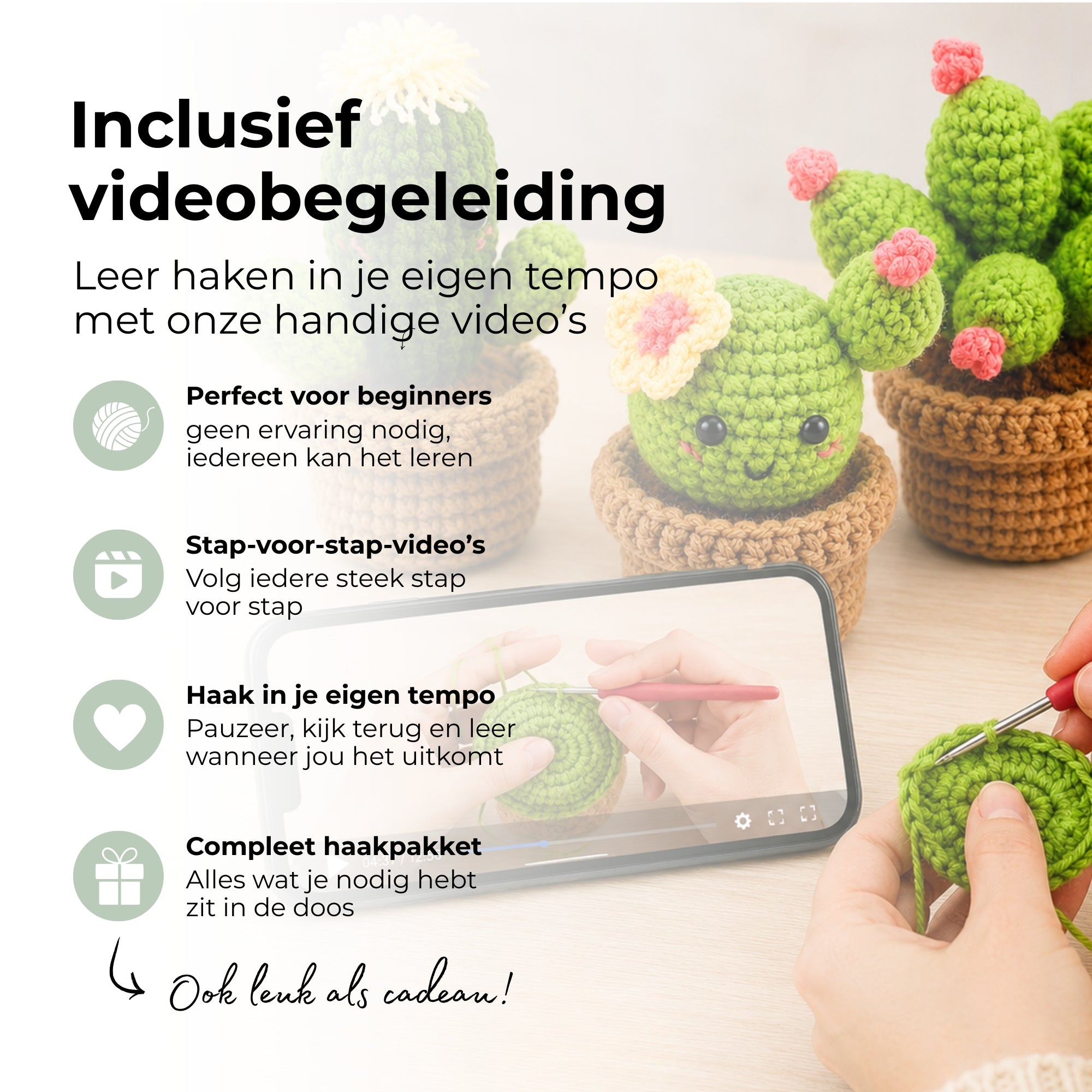 Haakpakket Cactus