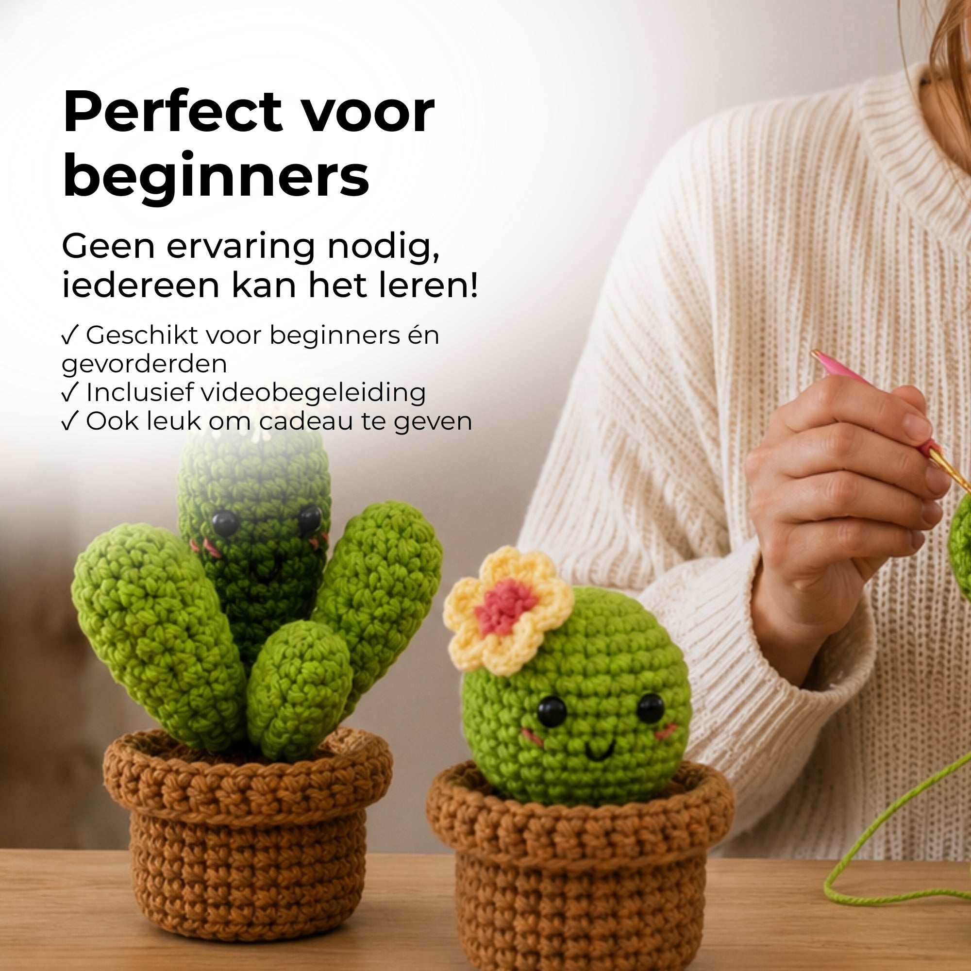 Haakpakket Cactus